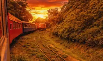 Trem Pôr do Sol
